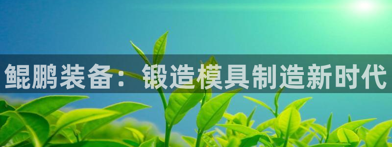 彩神v彩搜狗：鲲鹏装备：锻造模具制造新时代