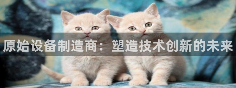 彩神ios下载：原始设备制造商：塑造技术创新的未来