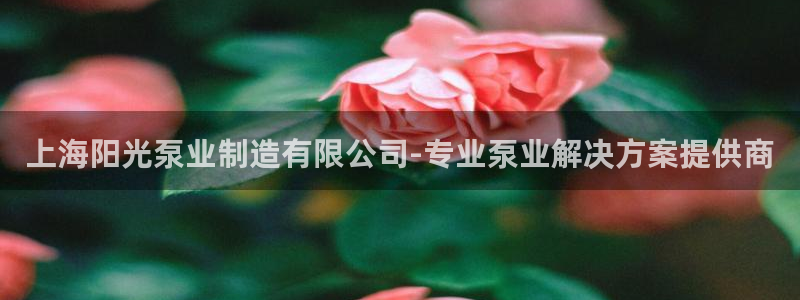 彩神v1破解器：上海阳光泵业制造有限公司-专业泵业解决方案提供商