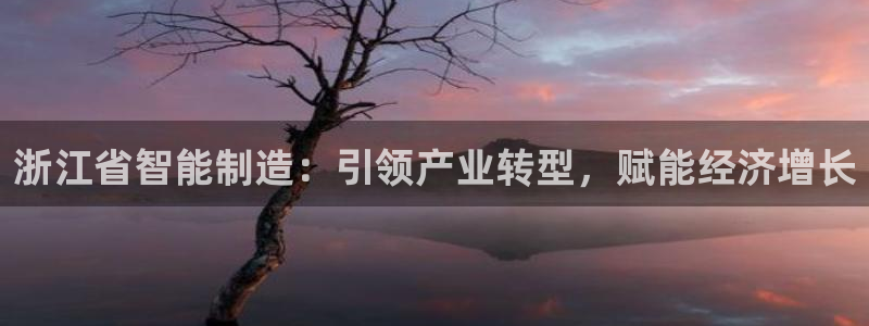 在彩神网输了六万多怎么拿回来：浙江省智能制造：引领产业转型，赋能经济增长