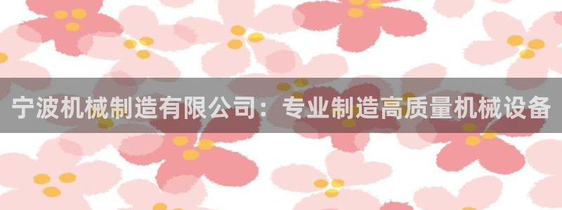 新版彩神v8登录不了：宁波机械制造有限公司：专业制造高质量机械设备
