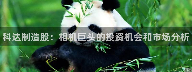 彩神8是正规平台吗安全吗：科达制造股：相机巨头的投资机会和市场分析