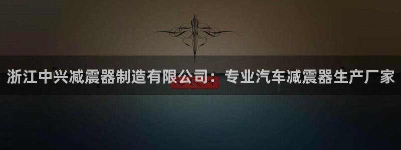 彩神VI首页：浙江中兴减震器制造有限公司：专业汽车减震器生产厂家