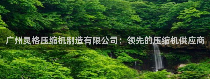 彩神购彩-购彩大厅入口500：广州灵格压缩机制造有限公司：领先的压缩机供应商