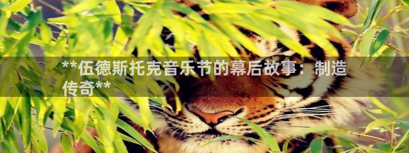 彩神vlll官网网上购彩：**伍德斯托克音乐节的幕后故事：制造
传奇**