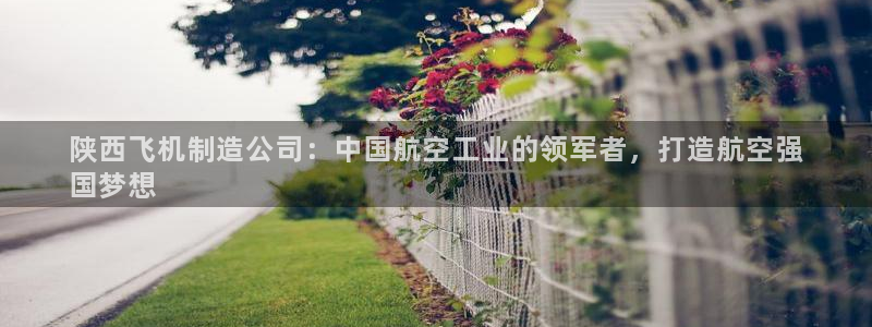 彩神赢钱了吗是真的吗：陕西飞机制造公司：中国航空工业的领军者，打造航空强
国梦想