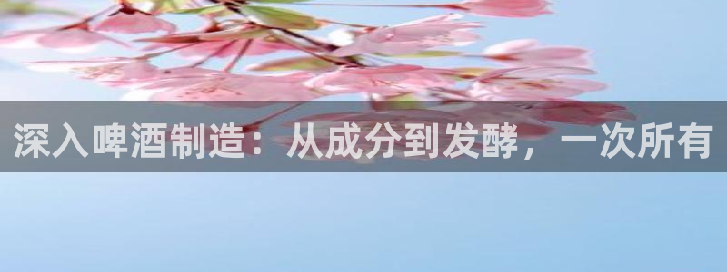 彩神vll首页环球：深入啤酒制造：从成分到发酵，一次所有