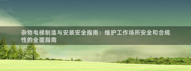 彩神vii官网大赢家：杂物电梯制造与安装安全指南：维护工作场所安全和合规
性的全面指南