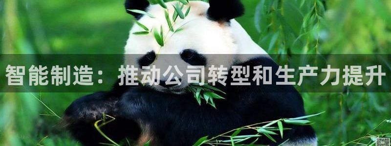 彩神ix平台：智能制造：推动公司转型和生产力提升