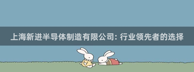 彩神平台之间是什么关系：上海新进半导体制造有限公司: 行业领先者的选择