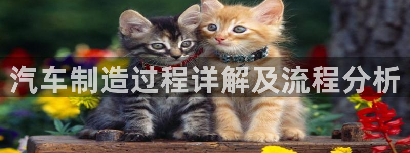 彩神购彩-购彩大厅入口计划群：汽车制造过程详解及流程分析