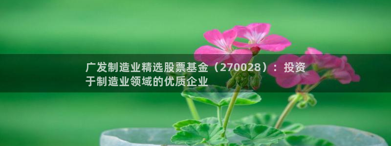 彩神v8几个版本：广发制造业精选股票基金（270028）：投资
于制造业领域的优质企业