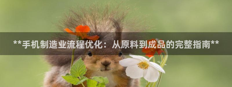 彩神趣购彩用户注册：**手机制造业流程优化：从原料到成品的完