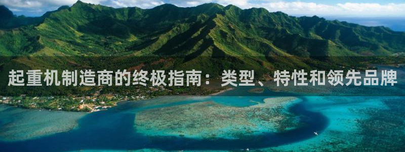 彩神是怎样一个平台赚钱的：起重机制造商的终极指南：类型、特性和领先品牌