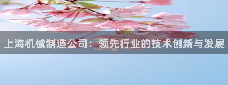 彩神v1破解器：上海机械制造公司：领先行业的技术创新与发展