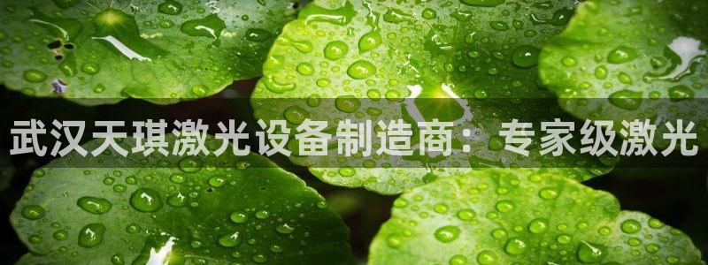 彩神vll首页环球：武汉天琪激光设备制造商：专家级激光