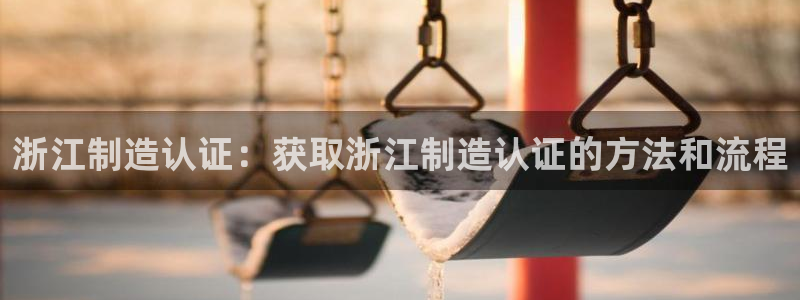 大发彩神最高邀请码：浙江制造认证：获取浙江制造认证的方法和流程