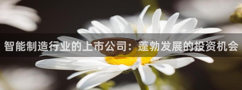 彩神v集团有限公司：智能制造行业的上市公司：蓬勃发展的投资机会