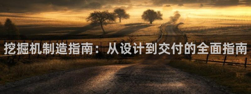 彩神v8手机客户端怎么下载：挖掘机制造指南：从设计到交付的全面指南