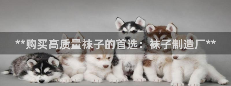 彩神vip购彩大厅下载：**购买高质量袜子的首选：袜子制造厂**