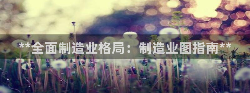 彩神旗下有哪些平台可以玩：**全面制造业格局：制造业图指南**