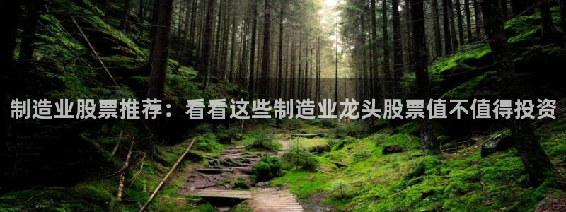 新版彩神v8登录不了：制造业股票推荐：看看这些制造业龙头股票值不值得投资