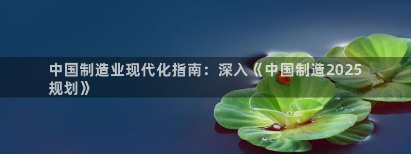 彩神网合法吗：中国制造业现代化指南：深入《中国制造2025
规划》