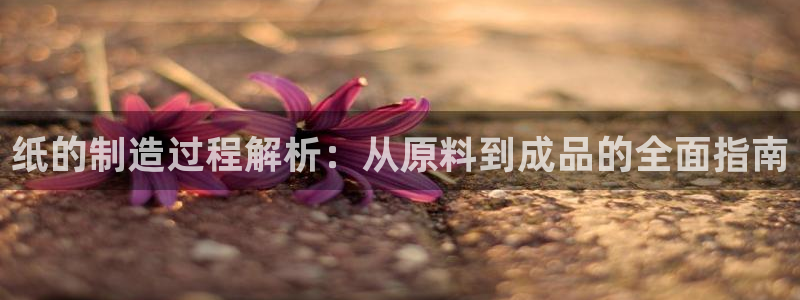 v大发彩神8iii：纸的制造过程解析：从原料到成品的全面指南