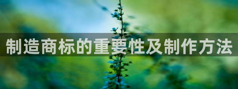 彩神通官网下载：制造商标的重要性及制作方法