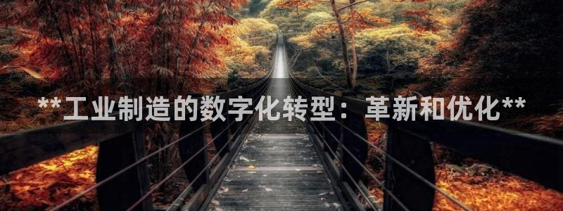 彩神购彩-购彩大厅入口老版：**工业制造的数字化转型：革新和优化**