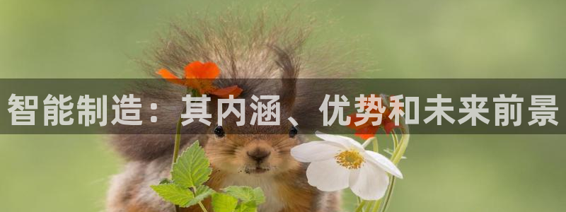 彩神V官网：智能制造：其内涵、优势和未来前景