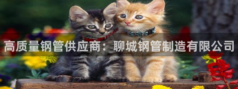 彩神是真的吗：高质量钢管供应商：聊城钢管制造有限公司