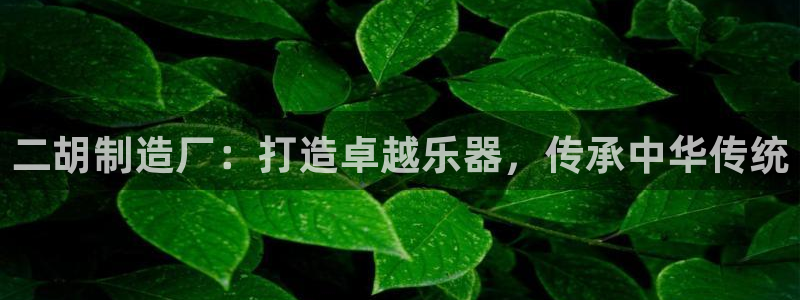 彩神新微聊：二胡制造厂：打造卓越乐器，传承中华传统